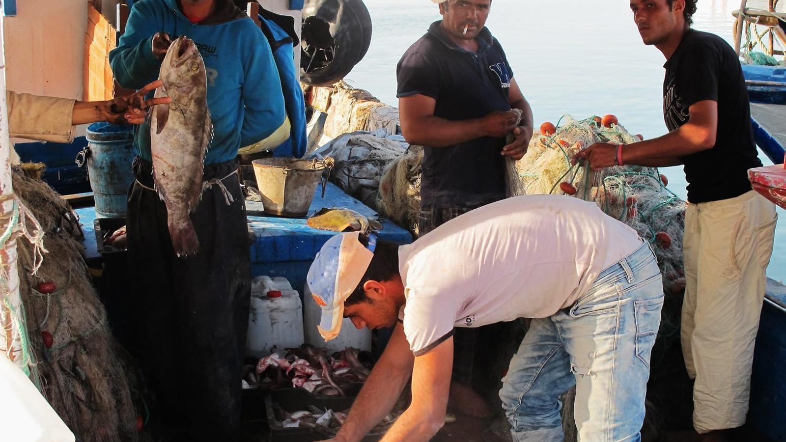 Pescadors al port tunisià  de Katef, prop de la frontera amb Líbia,  en tornar després d’una jornada  al mar. / R.G.S.