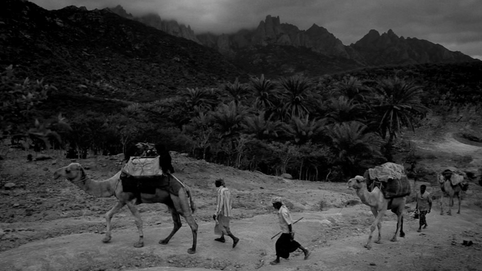 Escena de la vida quotidiana a Socotra / JORDI ESTEVA